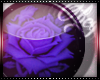 | Rose Cameo Royal