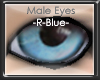 +vkz+ R-Blue Eyes