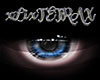 Blu Eyes