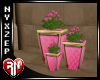 Pink Flower in Pink Pots