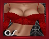 GS Red  Lace Bustier