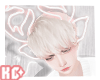 Ko ll Head Reindeer P