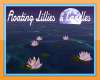H:LovelyFLoating Lillies
