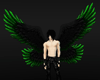 Green/Black Raver Wings