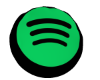 Spotify Pillow