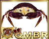 QMBR Atlantis Crab Seat