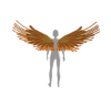 Fenix Asas MÃ©dia