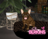 endi dog bed