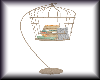 (V) beach birdcage books