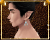 Zaledin Earings~ Ice