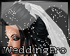 Long Wedding Veil