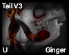 Ginger Tail V3