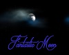 Fantastic Moon