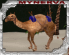 Arabian Camello Animado