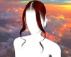 SCARF HAIR &eth;�&sect;&middot; Z4