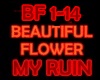 MY RUIN-Beautiful Flower