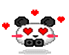 Panda Kao 8