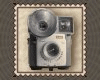Antique Camera #5 Stamp
