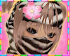 ! zebra bally <33