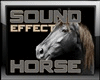 Horse Sound Effects VB