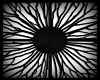 Wall Panel