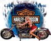 sexy Harley babe