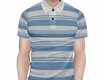 â§Striped Polo