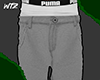 Shorts Denim Grey