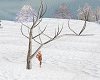 Snow Tree Animated