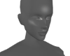 Full Face highlighter Z