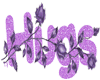 a purple hug