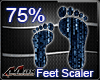 Max- Feet Scaler 75% -M