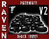 BLACK SHINE PATHWAY V2
