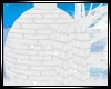 *R*Wonder Igloo