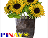 Sunflower Vase 3