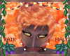 ꨄEmber Hairꨄ