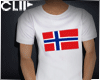 C) Norway Flag Tee