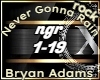 Never Rain - Bryan Adams