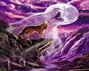 moon wolf
