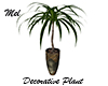 Decorative Plant Vintage