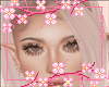 R. Shaylyn Ash