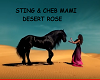 STIN& CHEB M Desert Rose
