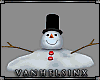 (VH) Melted Snowman /Pet