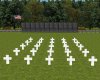 Memorial Day Crosses