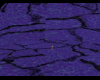 xymxy purpur lava doom