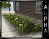 :: Lake House Flower Bed