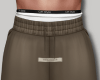 Sweatshirt Shorts Brown