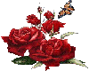 RED ROSE W/ BUTTERFLY