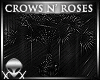 !Crow Plant ::
