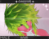 |Pitaya Hair|